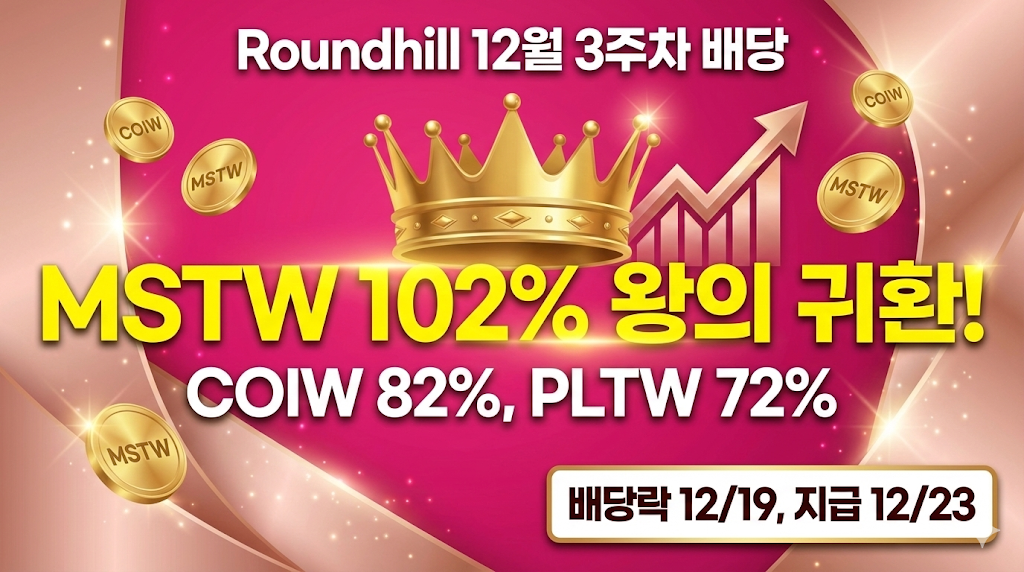 라운드힐 12월 3주차 배당금 비교 분석