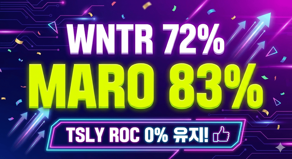 일드맥스 그룹 2 1월 2주차 배당금 분석 및 WNTR MARO 수익률